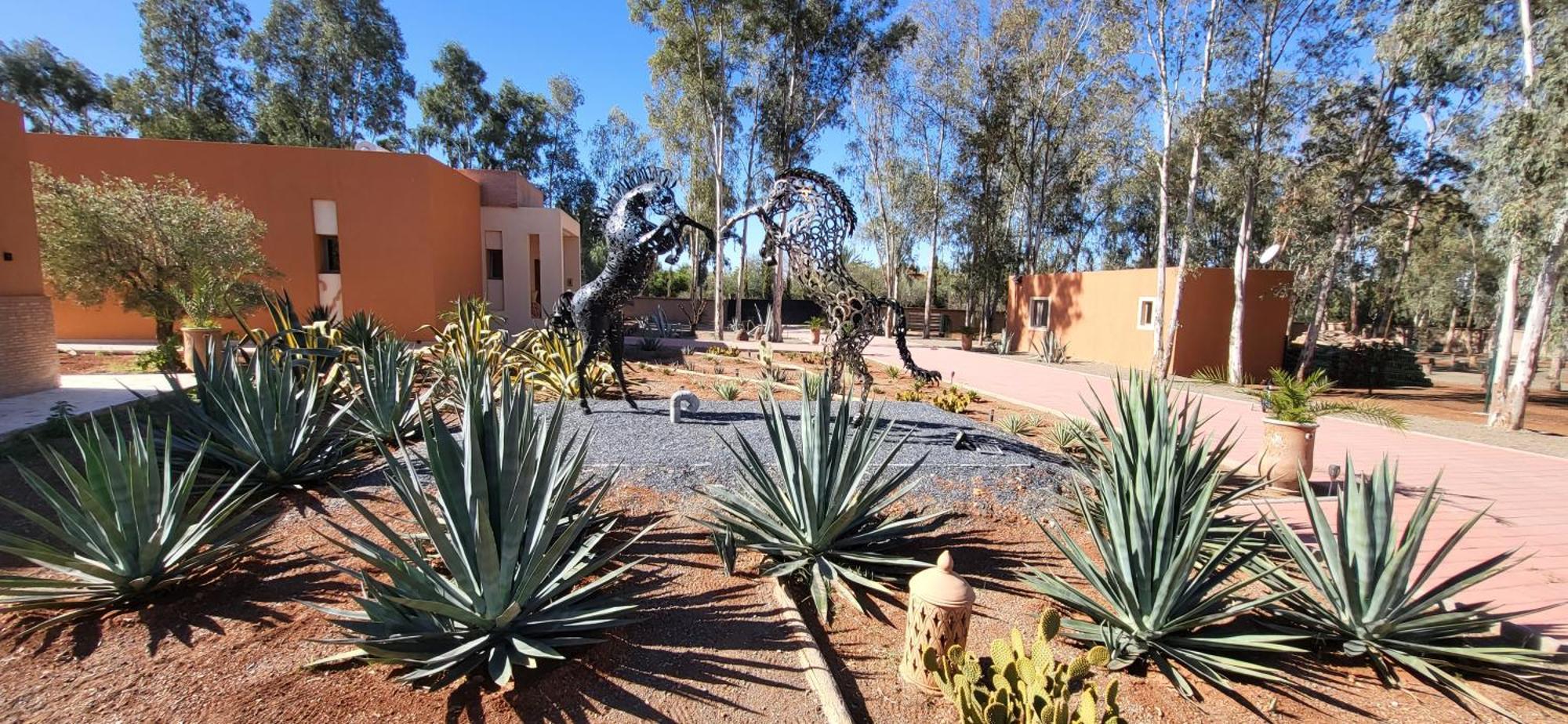 Le Jardin De Jeanne Villa Marrakesh Exterior photo